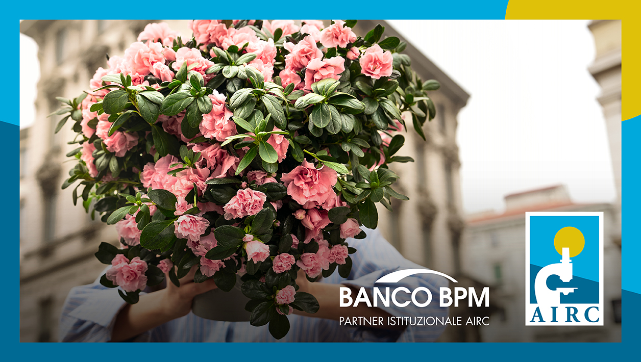 1256X710 AIRC Azalea Fondamentale 2026 1256X710 AIRC Azalea Fondamentale 2026