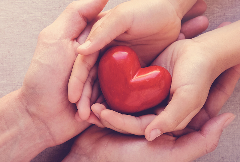 Mani di adulto racchiudono mani di bambini, le quali tengono