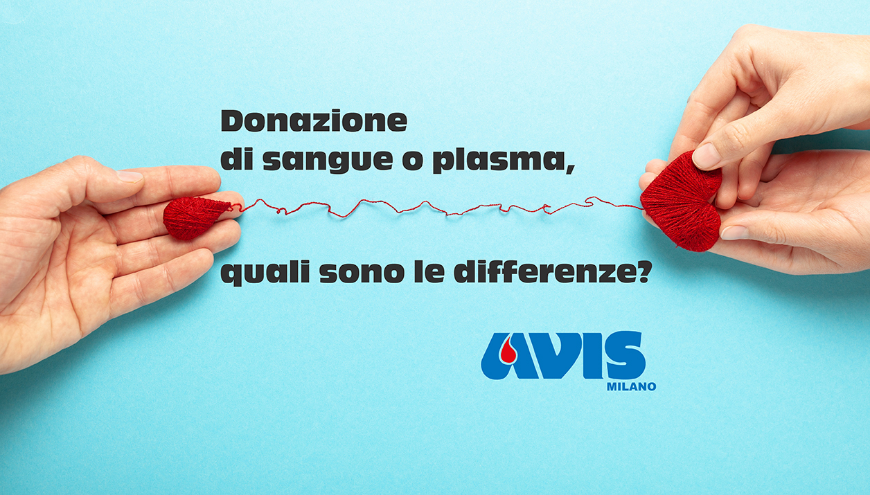 Donazione di sangue o plasma, quali sono le differenze?